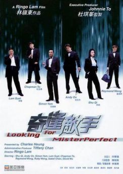 奇逢敌手/奇逢对手/Mr Perfect